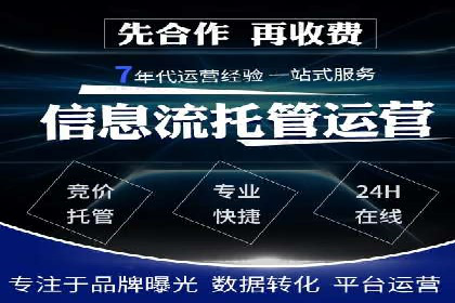 SEM推广案例：打造高效广告投放策略